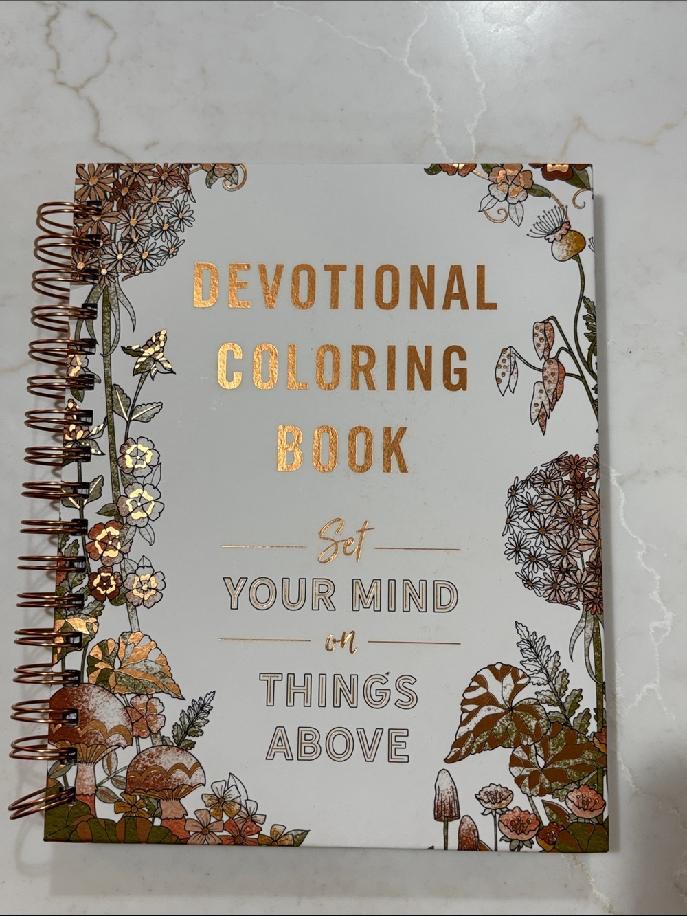 DaySpring Devotional Coloring Book - White & Rose Gold